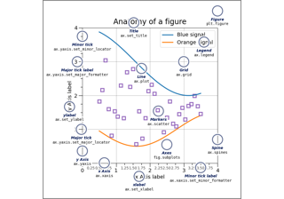 Anatomía de una figura.